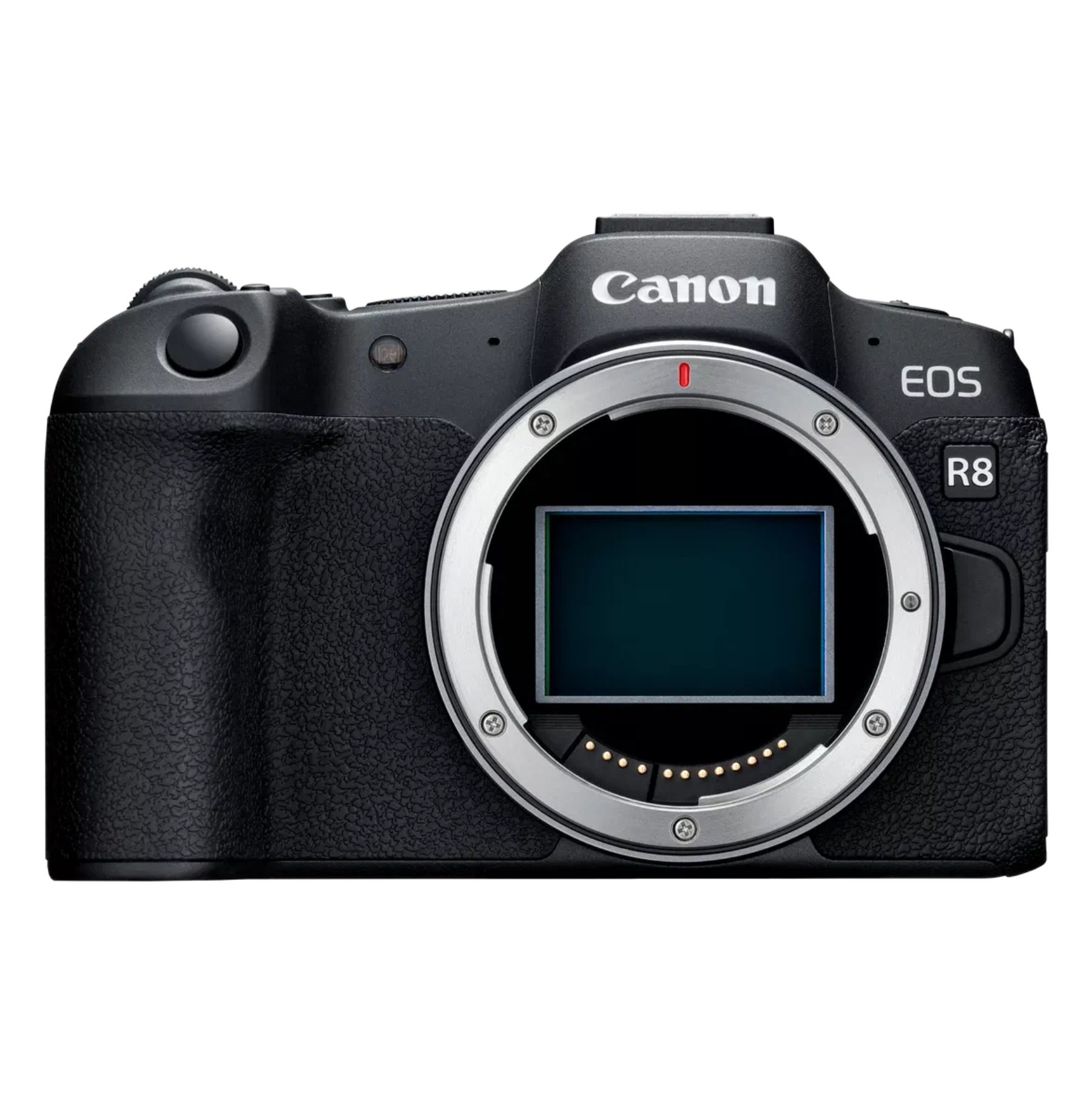 Фотоаппарат Canon EOS R8 Body