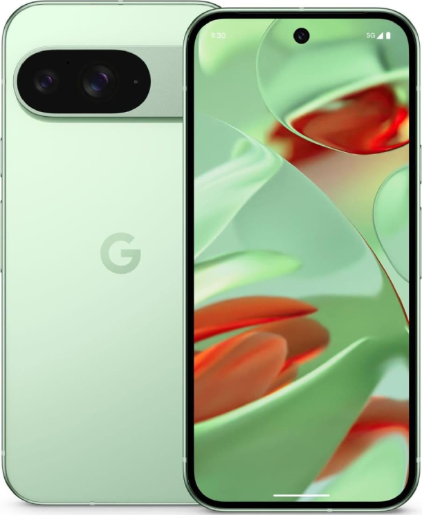 Смартфон Google Pixel 9 12/256 ГБ Wintergreen (Периодически перезагружается)