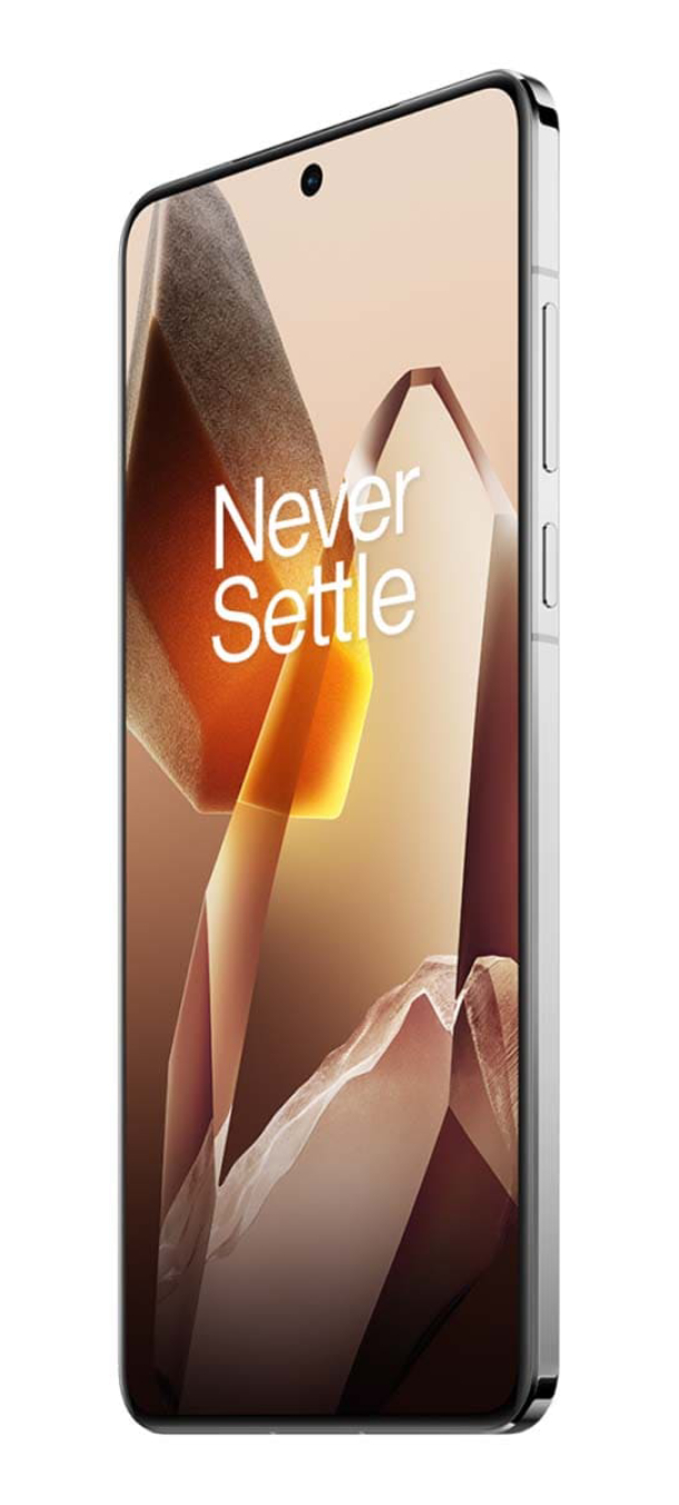 Смартфон OnePlus 13 12/256Gb Arctic Dawn