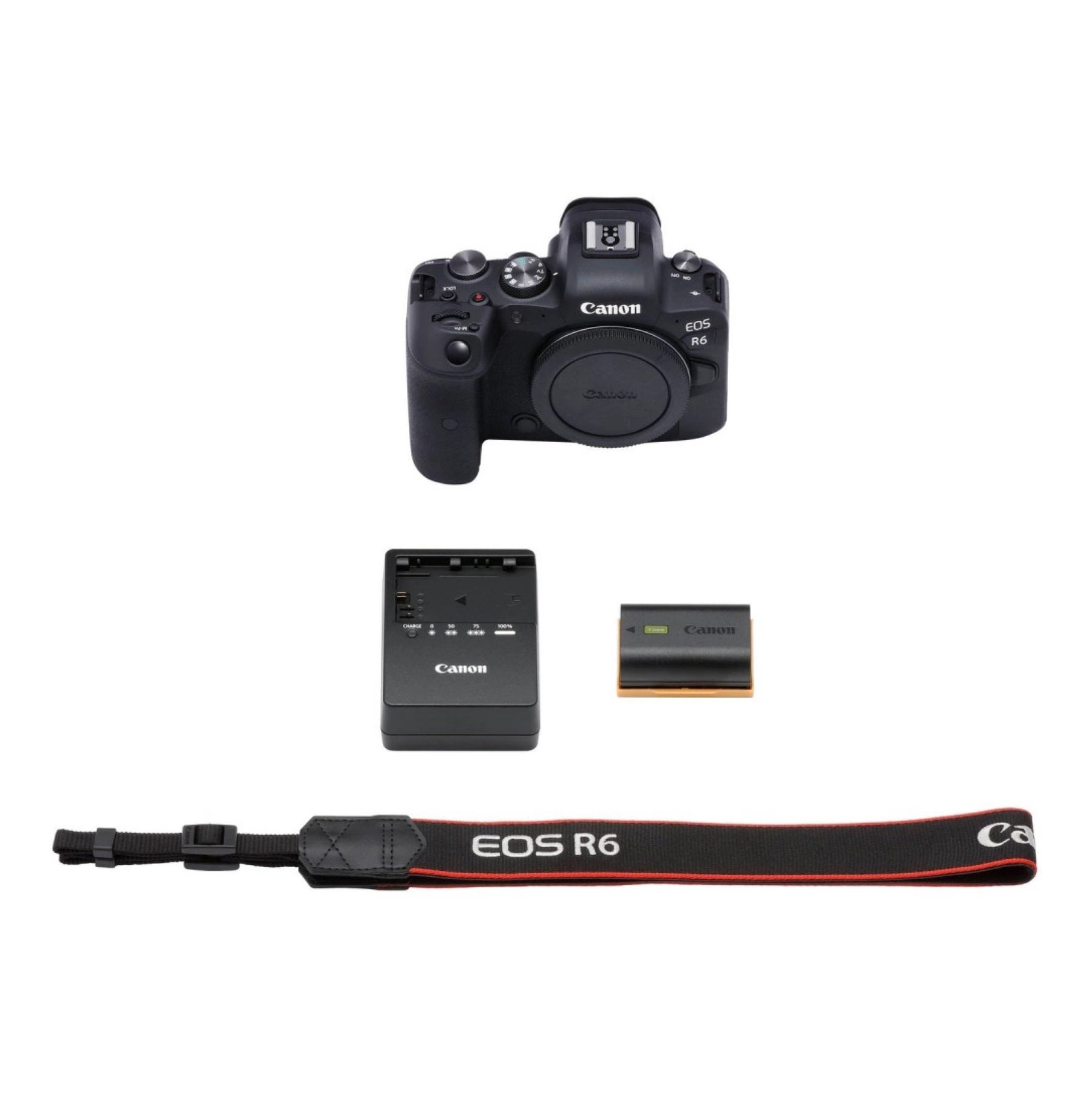 Фотоаппарат Canon EOS R6 Body