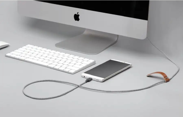 Кабель Native Union BELT CABLE, USB-A/USB-C 1,2м, зебра