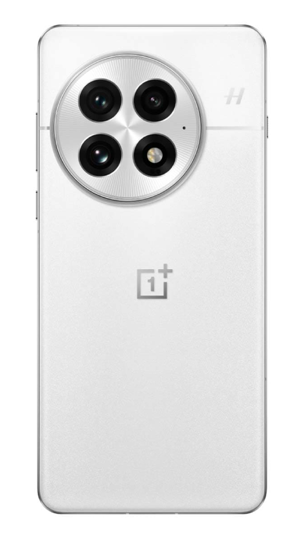 Смартфон OnePlus 13 12/256Gb Arctic Dawn