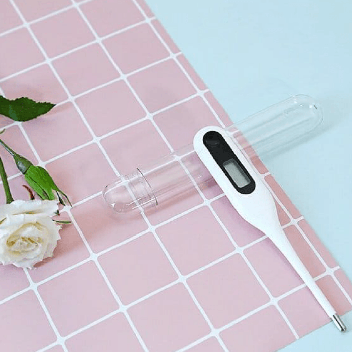 Термометр электронный Xiaomi Miaomiaoce Measuring